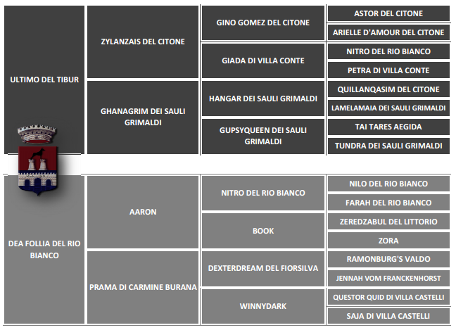 pedigree_cora_del_tibur